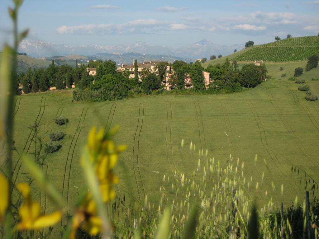 Willa Agriturismo La Campana Montefiore dellʼAso Zewnętrze zdjęcie